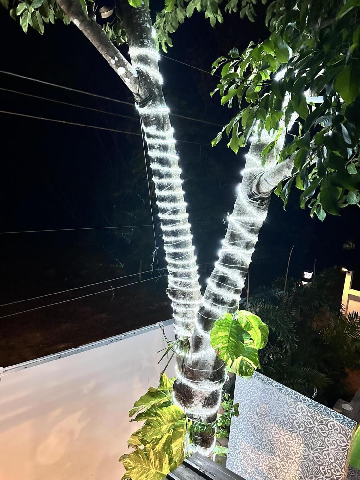 Safina Pool Villa Ko Lanta المظهر الخارجي الصورة